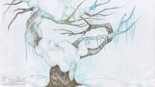 After the storm (Preview)