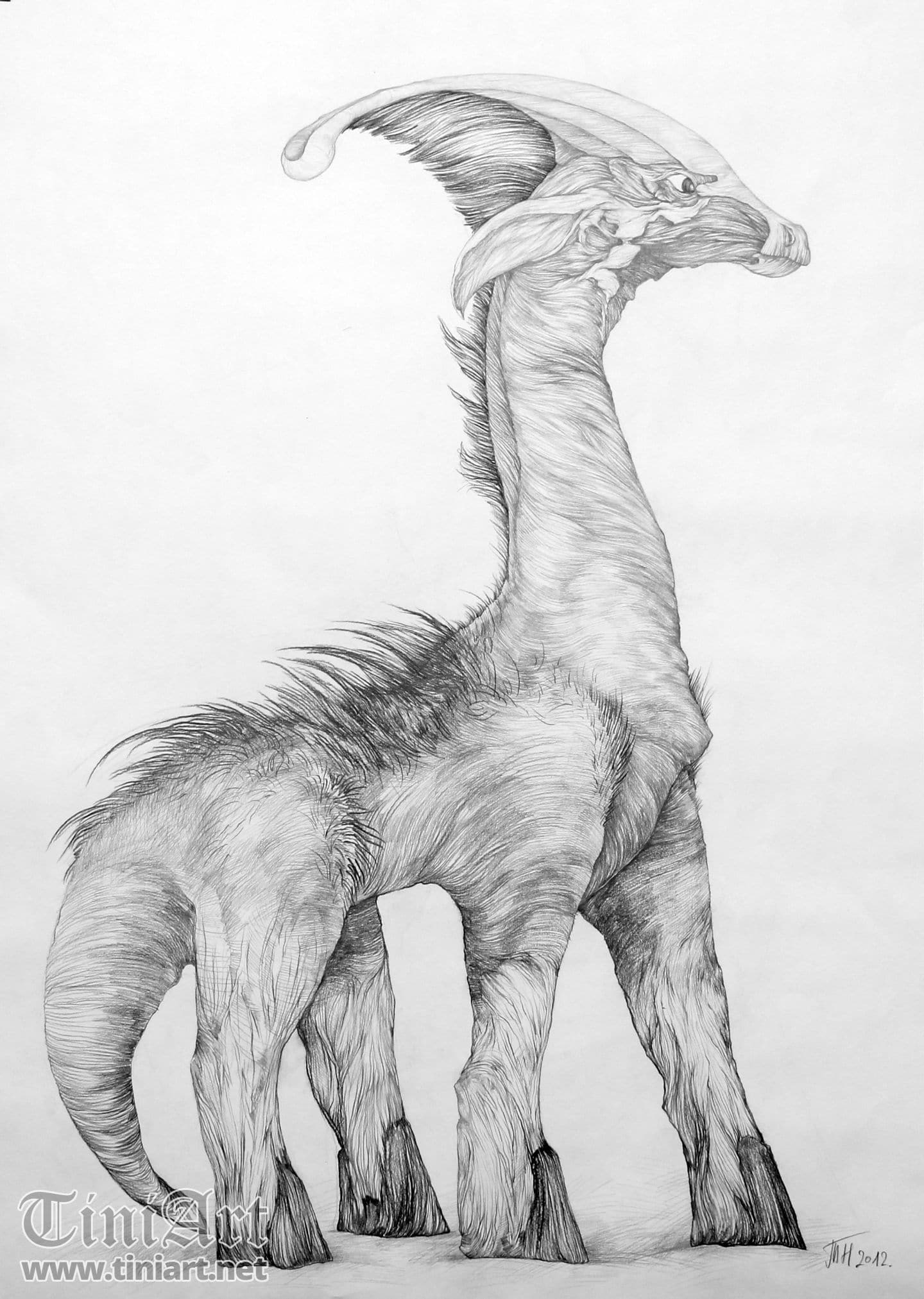 Dionigenian (Full)