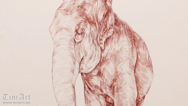 Elephant with Hay (Preview)