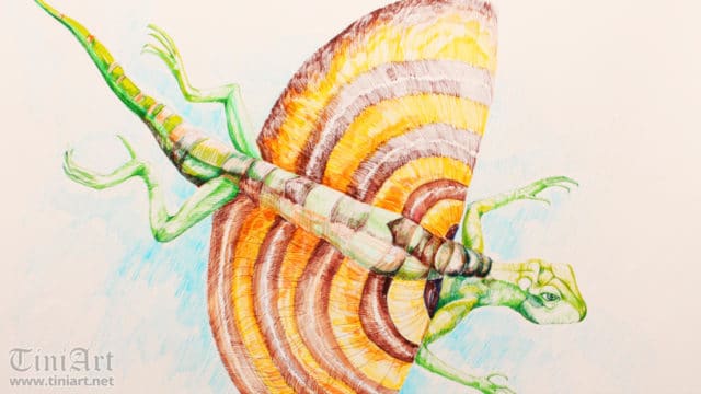 Flying Lizzard (Preview)