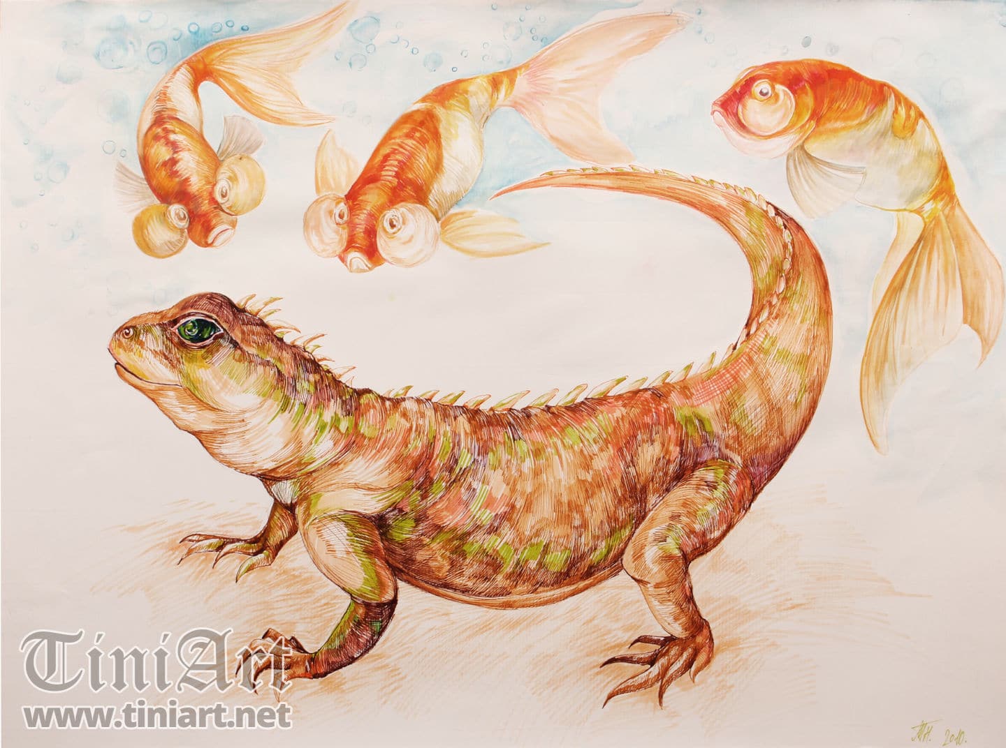 Lizzard and Golden Fish 2 (Full)