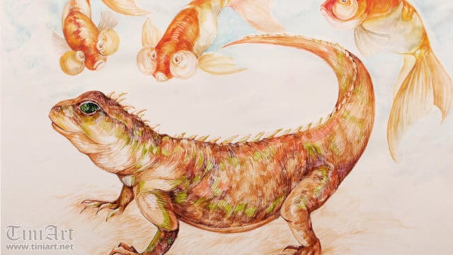 Lizzard and Golden Fish 2 (Preview)