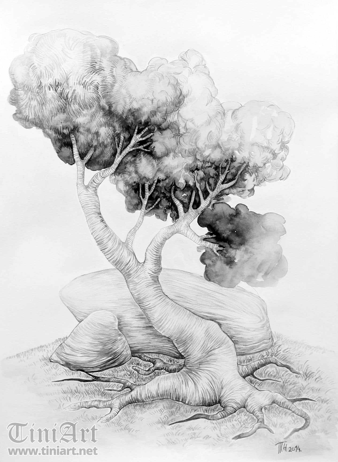 Mountain clearing (Full)
