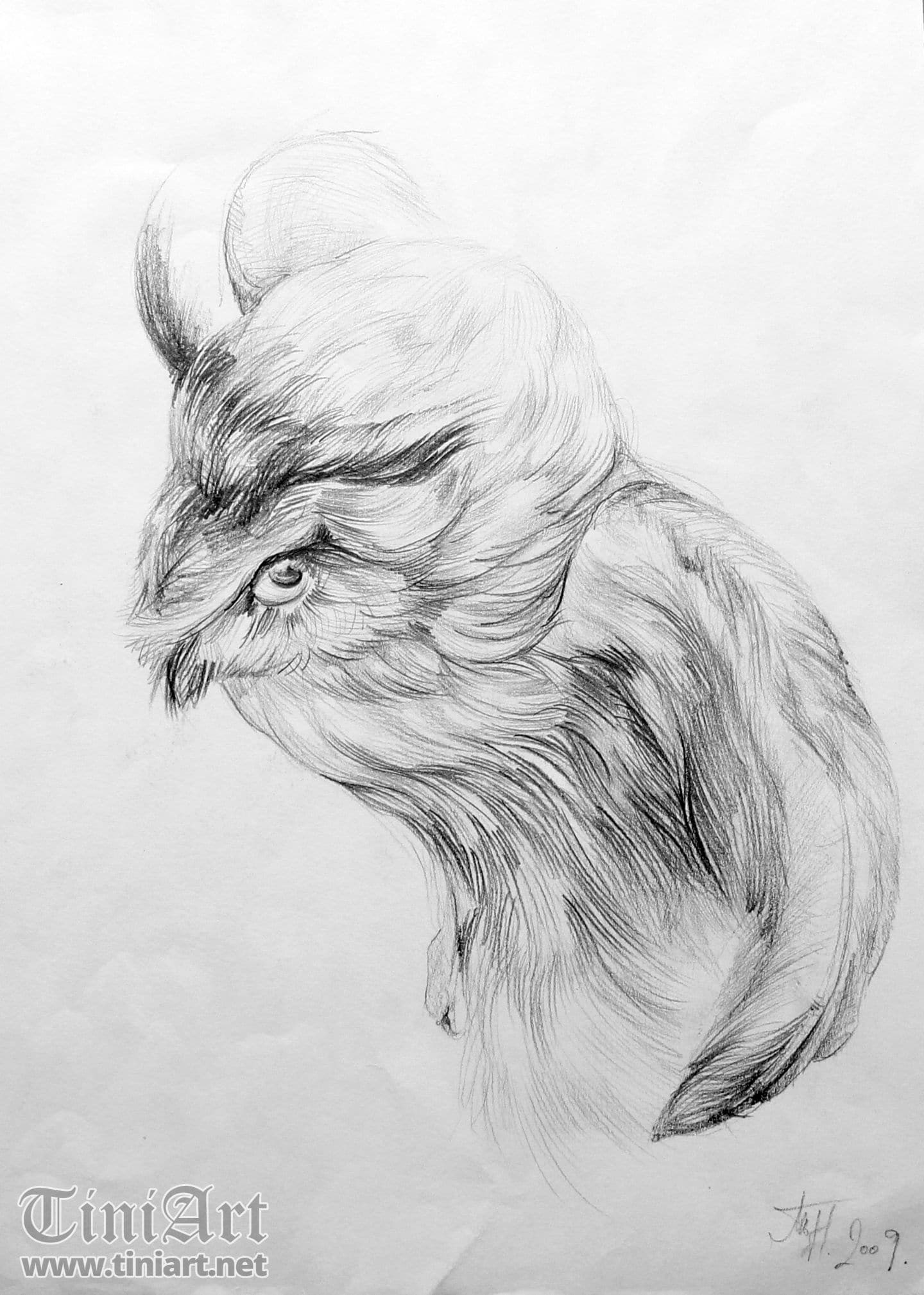 Owl 1 (Full)