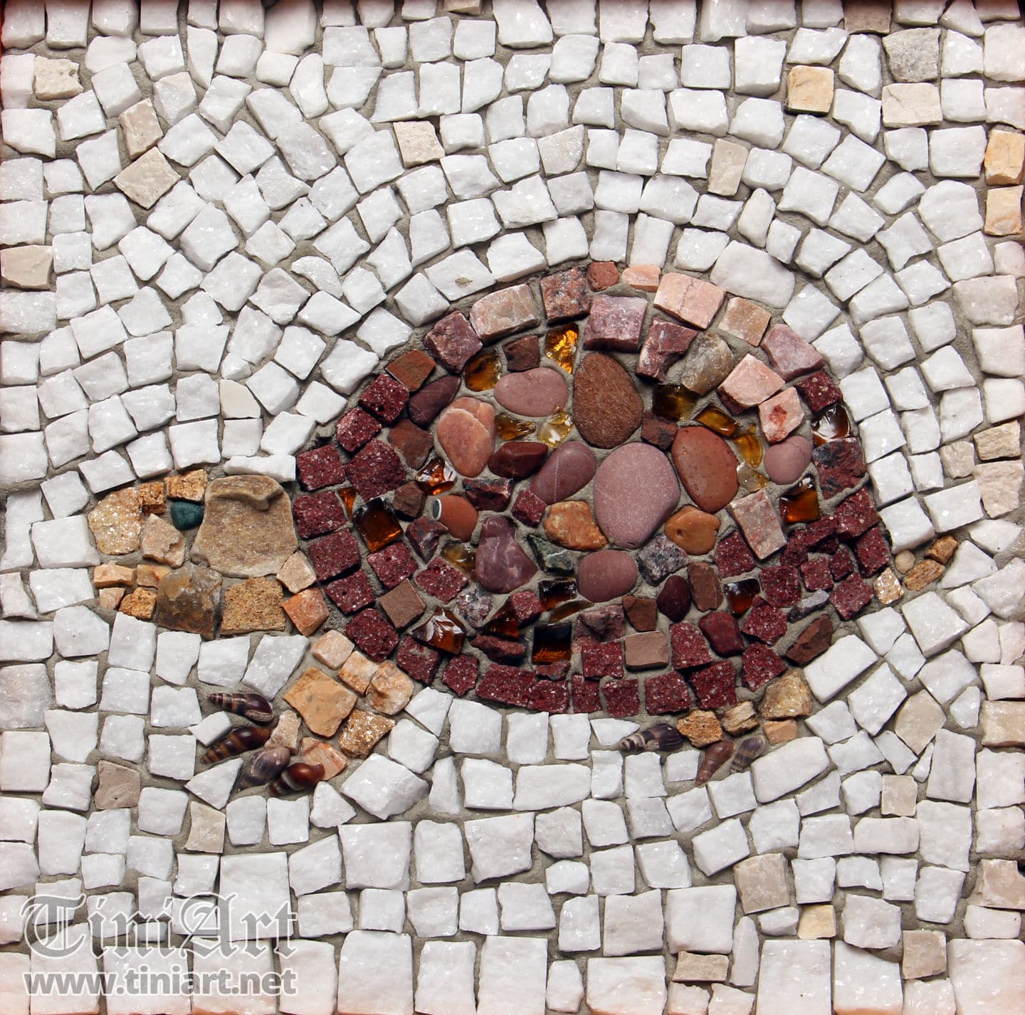 Tortoise (Full)