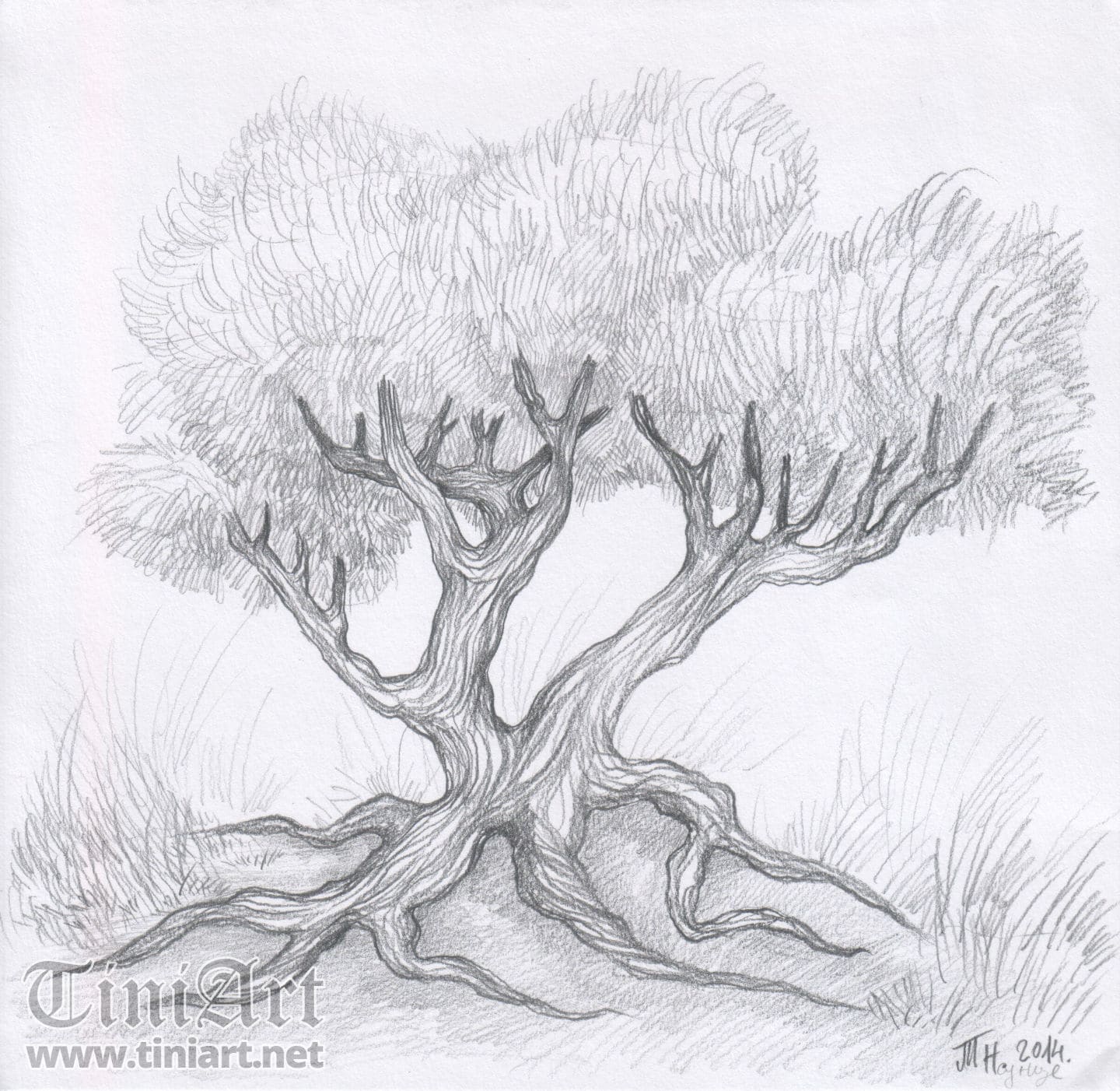Wild plum (Full)